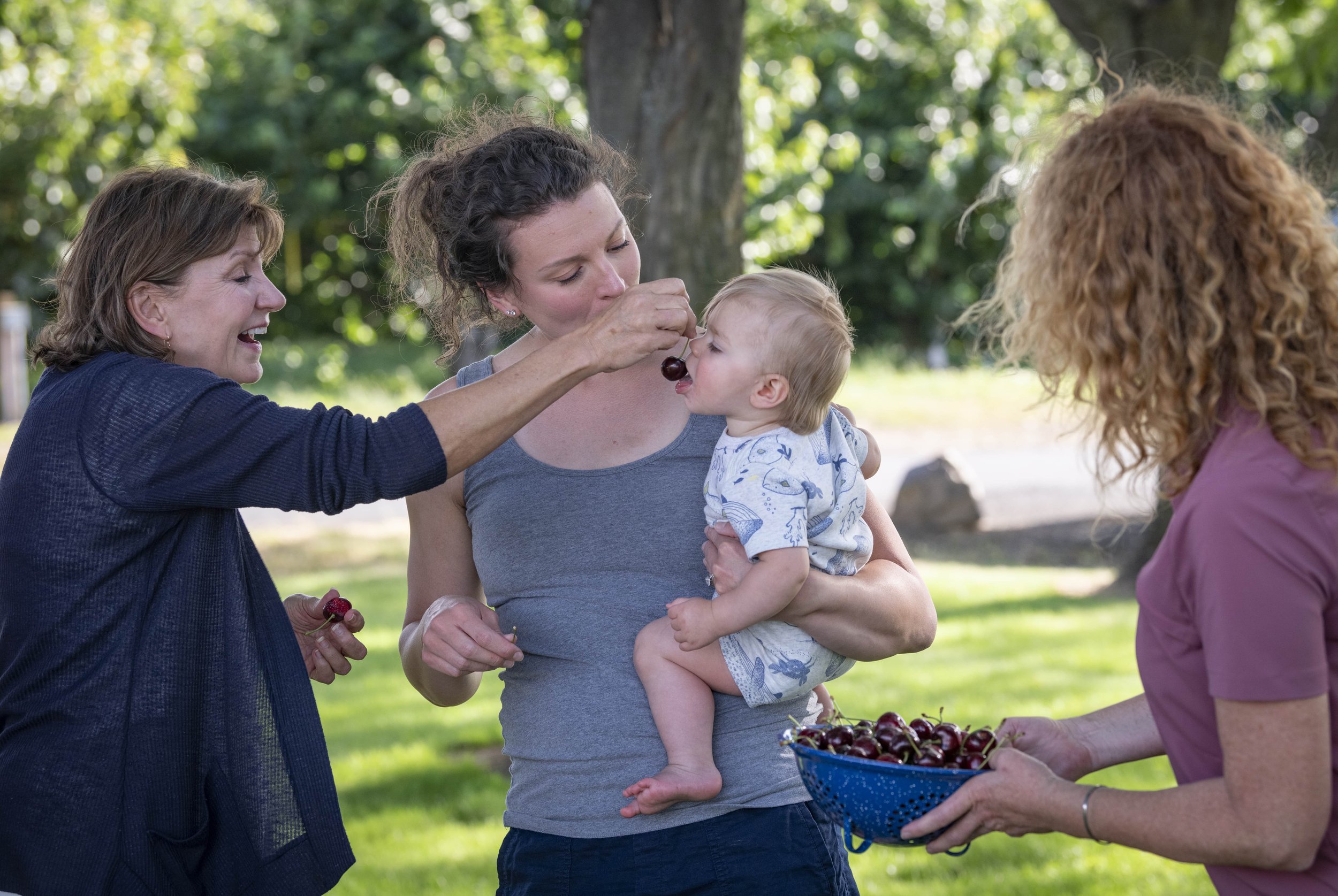 Orchard View Cherries | The Dalles, OR